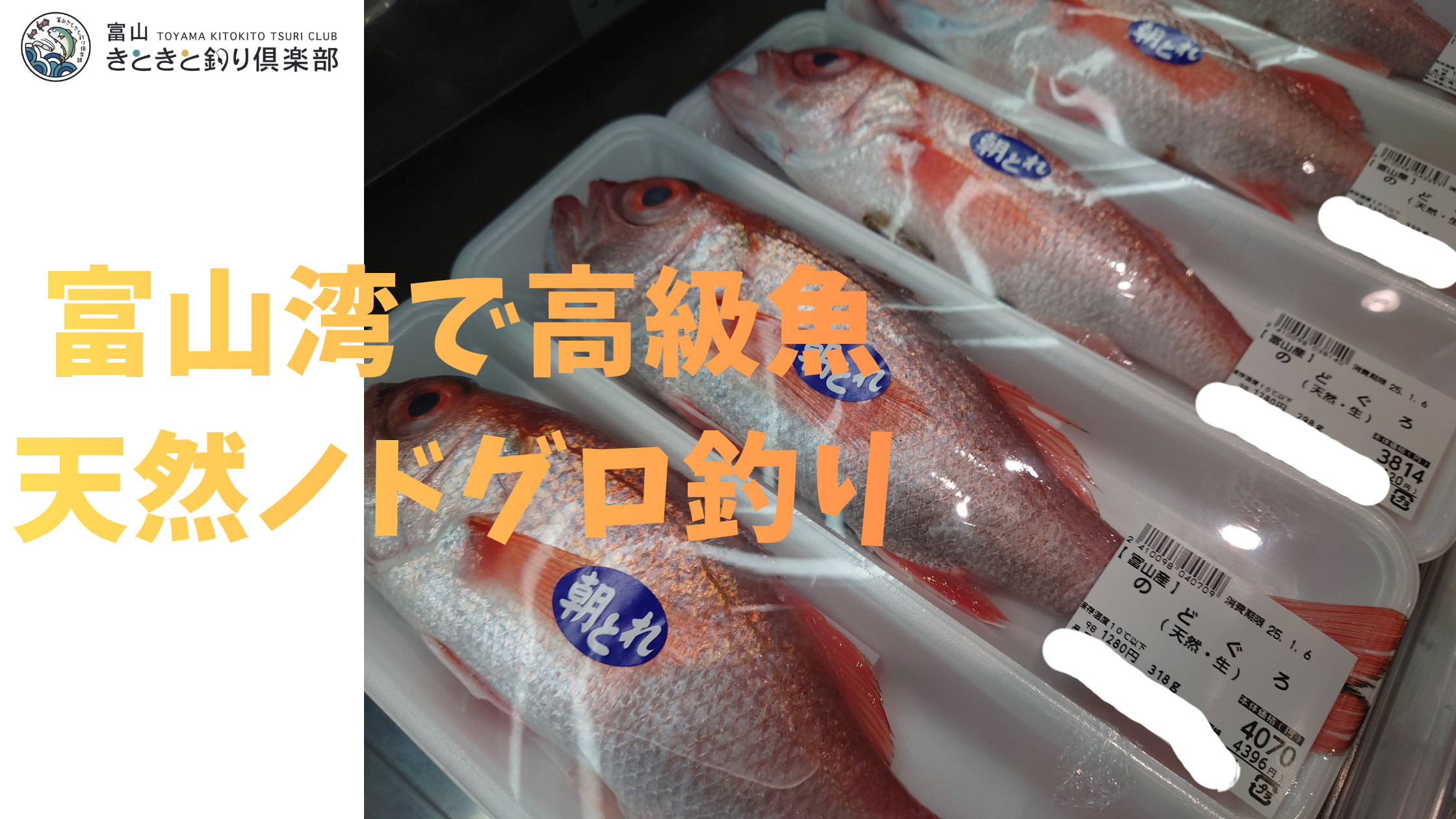 富山湾アカムツ（ノドグロ）入門｜初心者が知っておきたい「天然の生簀」で高級魚アカムツを狙う方法について