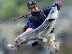 ビワコオオナマズと空汰